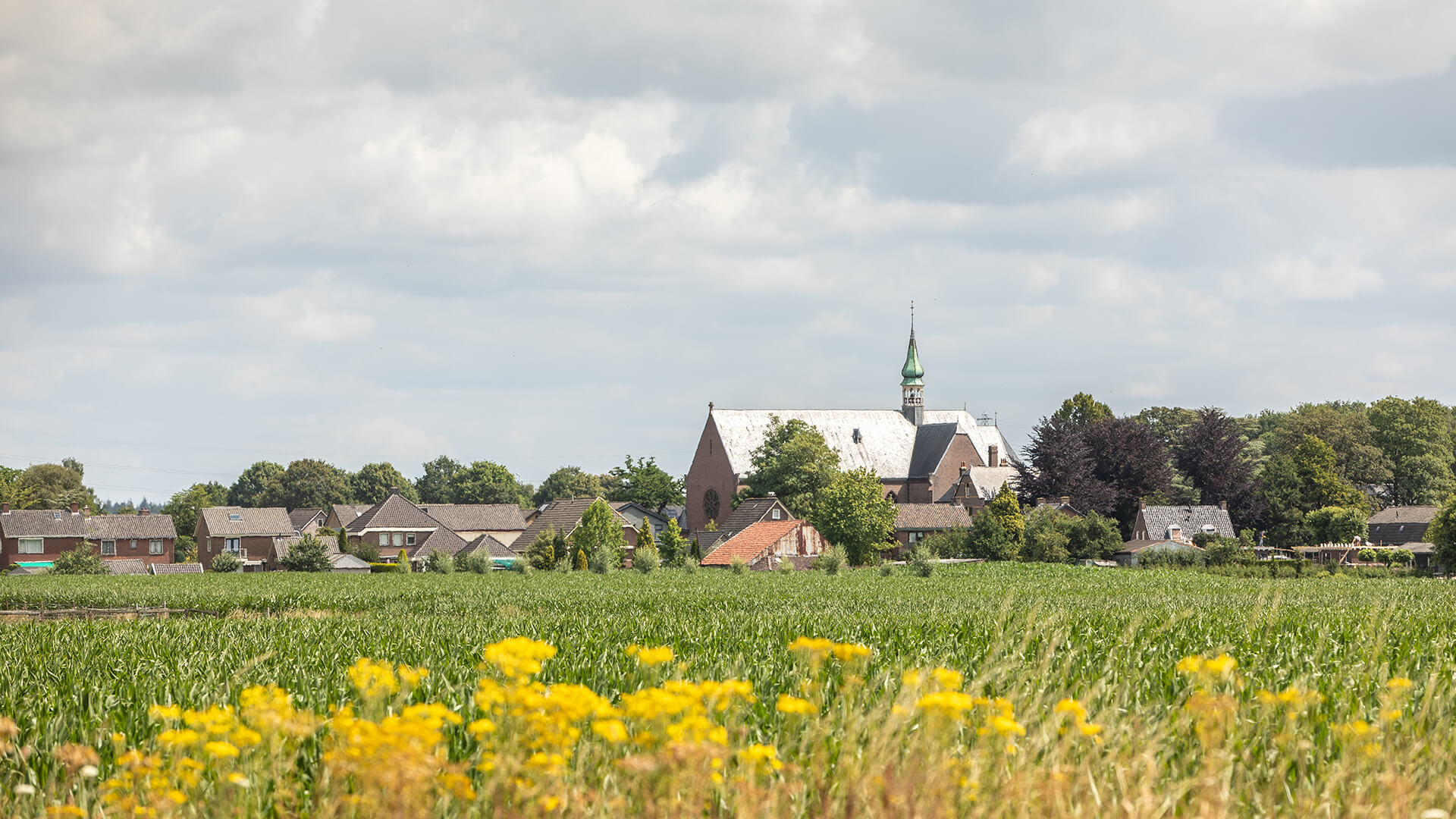 Gemeente Montferland Header