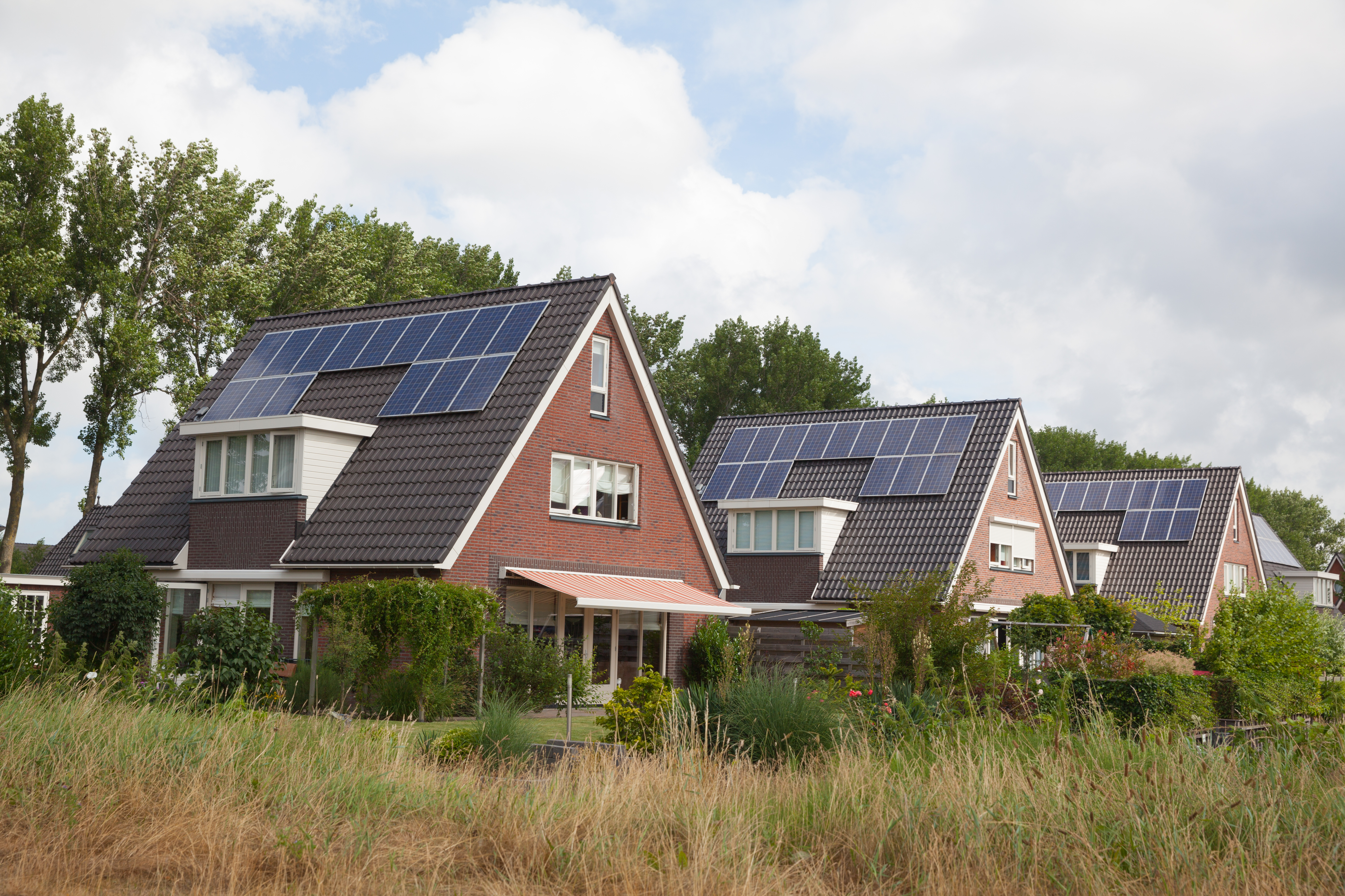 Panelen Daken Buren