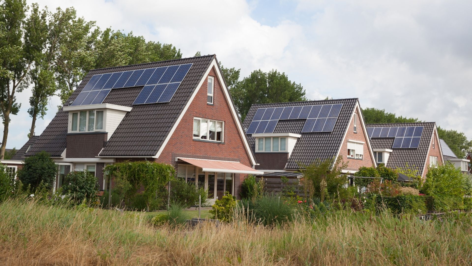 Zonnepanelen